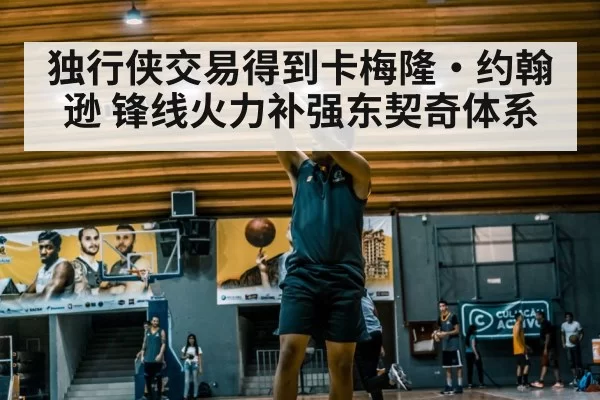 独行侠交易得到卡梅隆·约翰逊 锋线火力补强东契奇体系